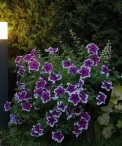 Ciemna lampa ogrodowa, wysokość 70cm CB-MAX 700 DG z serii CUBE MAX | Kaja Oświe*Sklep Kaja Hot