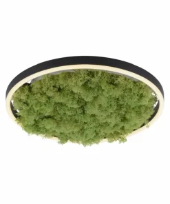 Dekoracyjna lampa LED z naturalnym mchem 15391-66 GREEN RITUS | Kaja*Sklep Kaja Shop