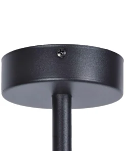 Cheap Sklep Kaja Dekoracyjna lampa sufitowa z kwietnikiem K-4737 | Kaja Oświetlenie