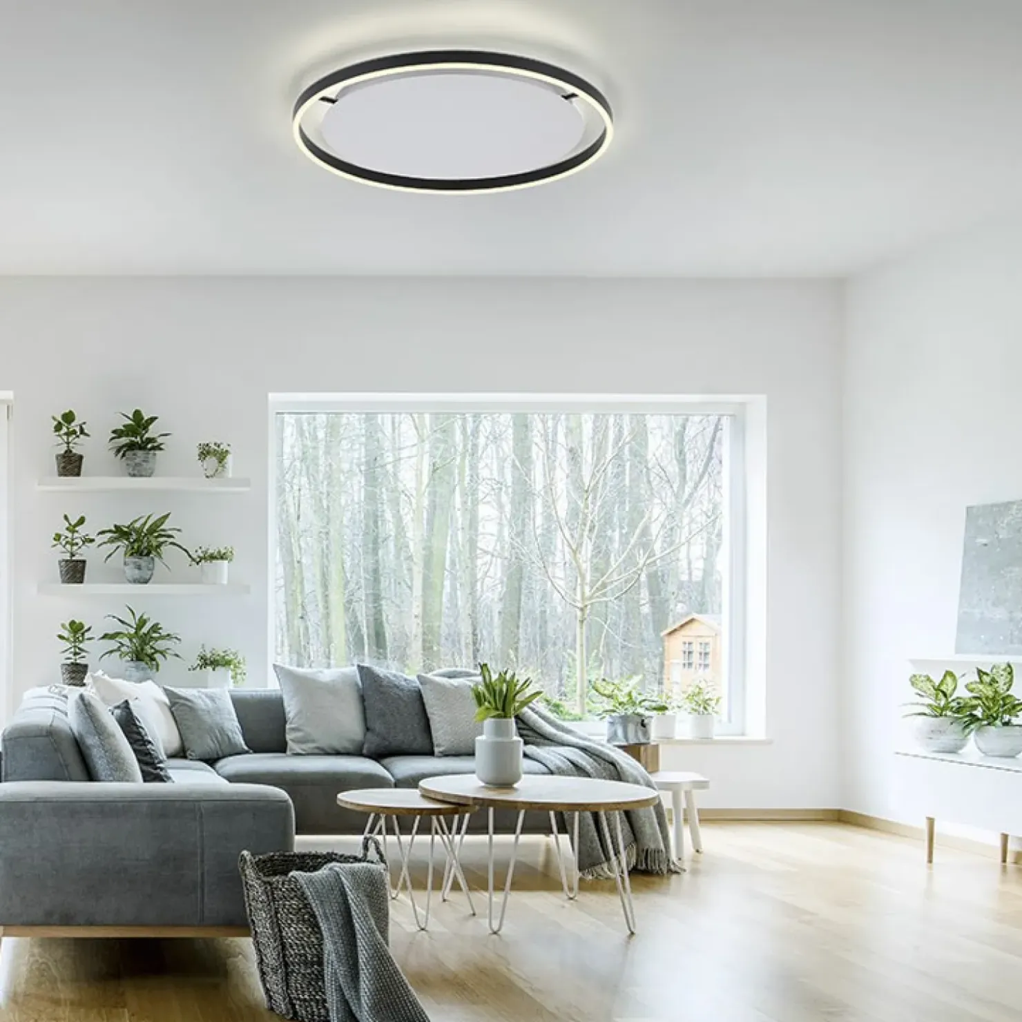 Duży, nowoczesny plafon LED do salonu 15392-13 z serii RITUS | Kaja*Sklep Kaja Outlet