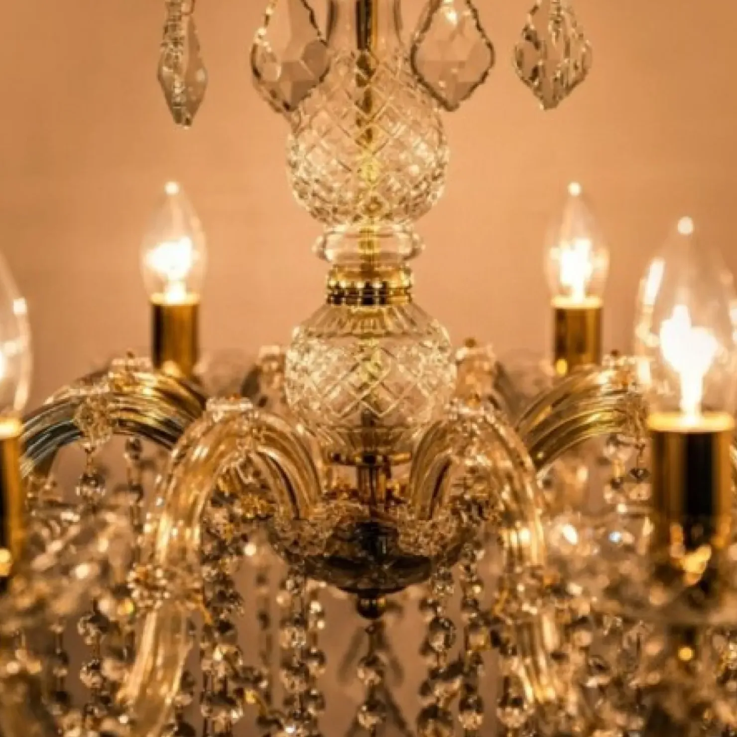 Shop Sklep Kaja Kryształowy żyrandol w stylu glamour ZM 14004/8-GLD CHATEAU | Kaja