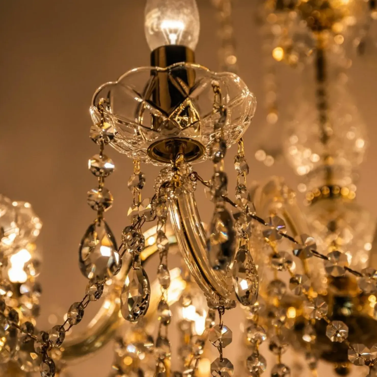 Shop Sklep Kaja Kryształowy żyrandol w stylu glamour ZM 14004/8-GLD CHATEAU | Kaja