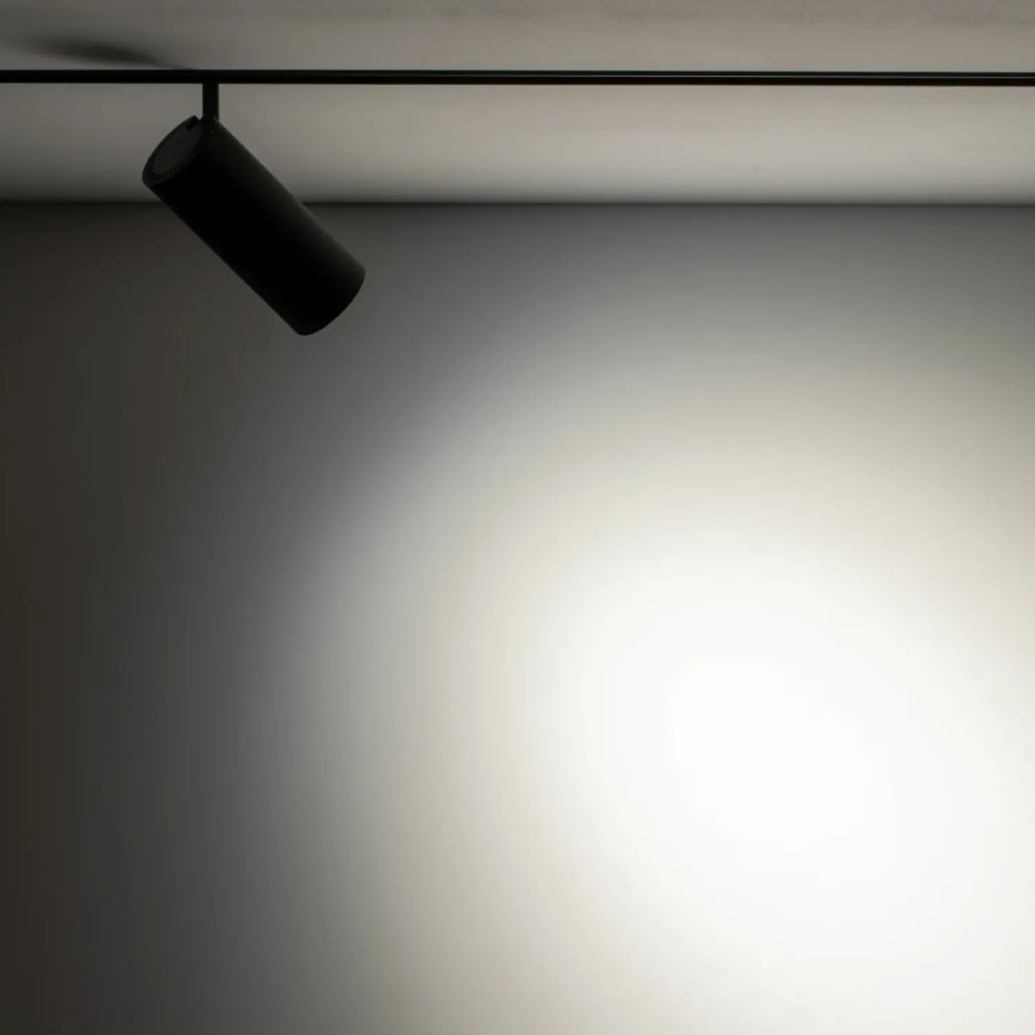 Lampa do szyny magnetycznej 1F 10655 LVM SPOT LED | Kaja Oświetlenie*Sklep Kaja Flash Sale