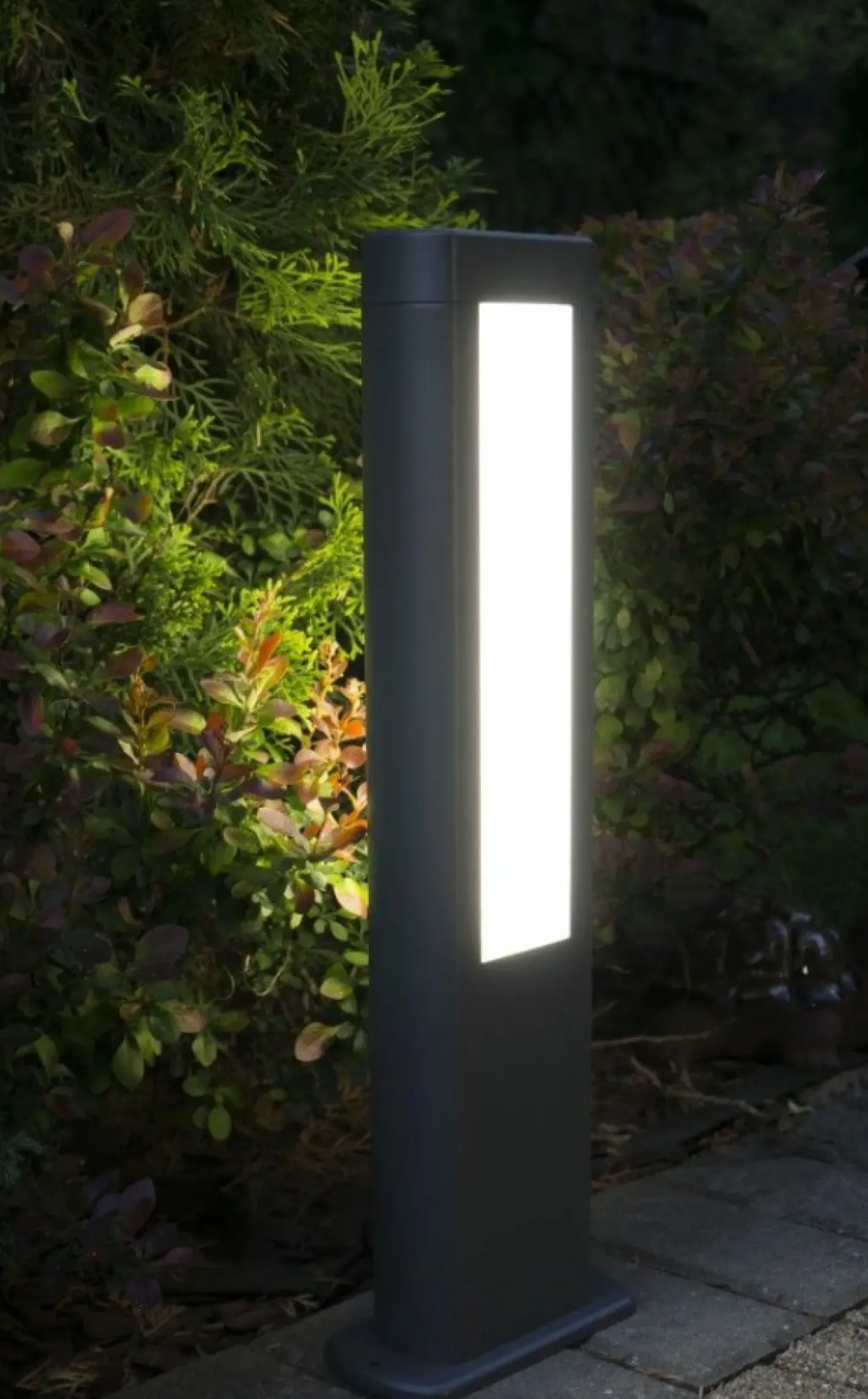 Ledowa lampa stojąca, dwukierunkowa GL15401 z serii EVO | Kaja Oświetlenie*Sklep Kaja Cheap