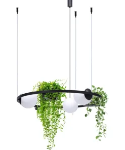 Cheap Sklep Kaja Niezwykle dekoracyjna lampa wisząca, kwietnik 5005 z serii PLANT