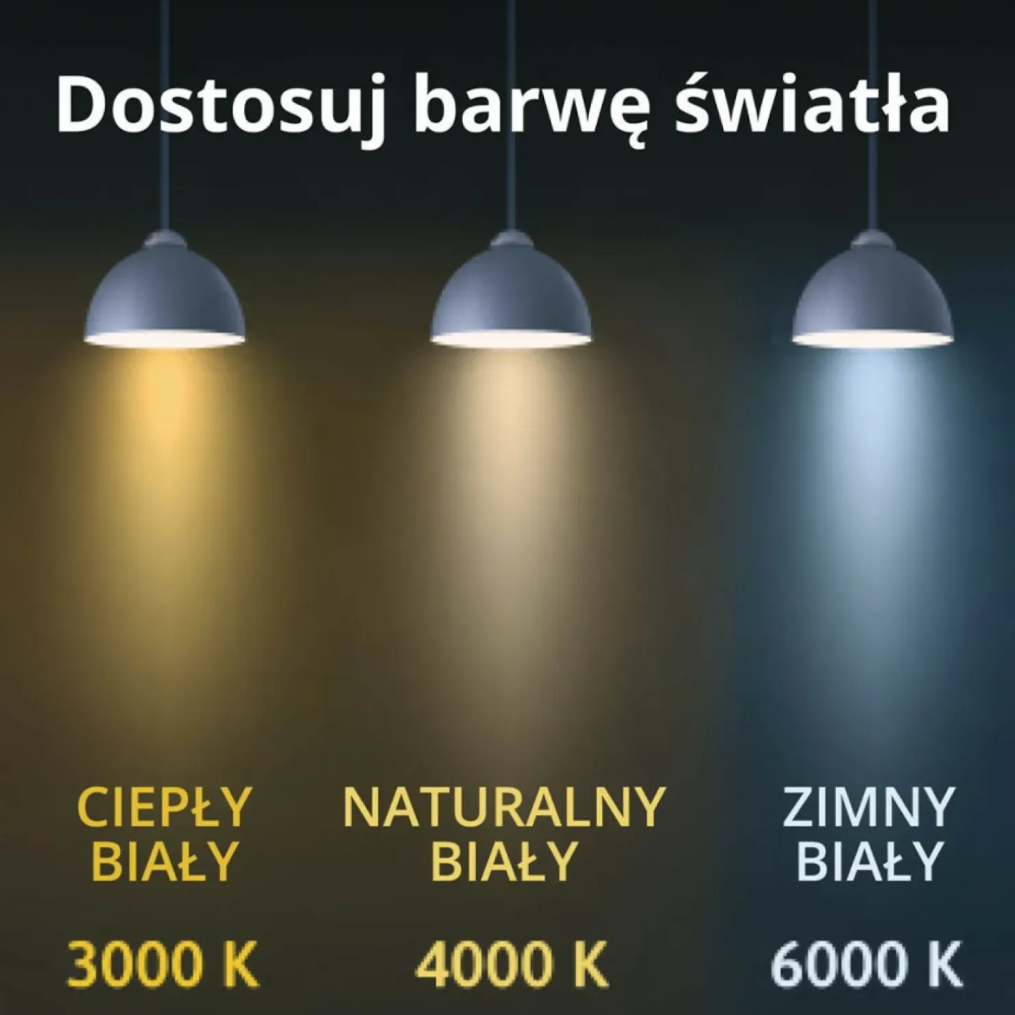 Online Sklep Kaja Nowoczesna lampa wisząca koło ⌀66cm LP-909/1P M BK CCT RING | Kaja
