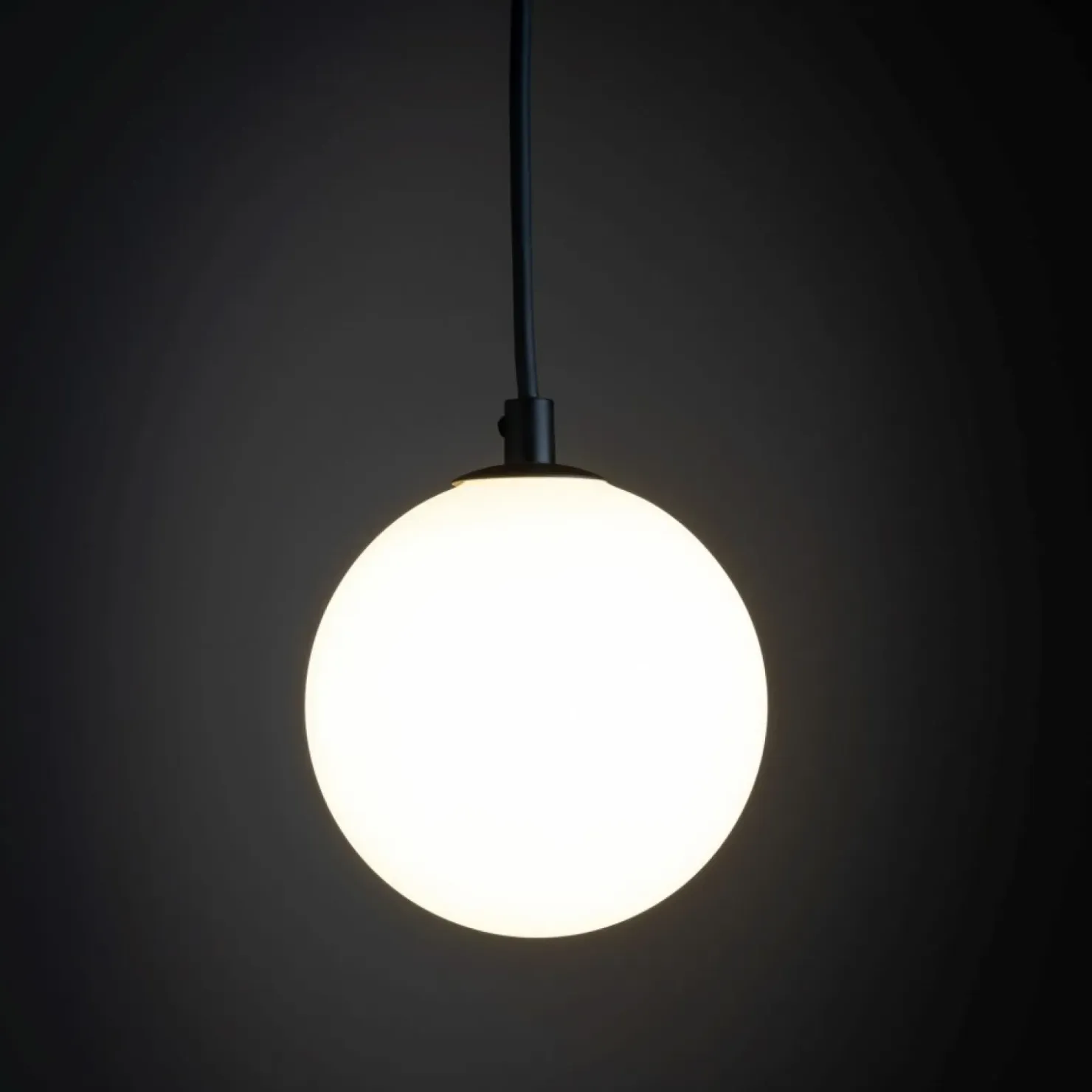 Okrągła lampa wisząca do listwy jednofazowej TK 4927 TRACER | Kaja*Sklep Kaja Outlet