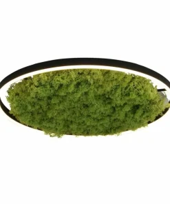 Plafon LED z naturalnym mchem, do salonu 15392-66 GREEN RITUS | Kaja*Sklep Kaja Cheap