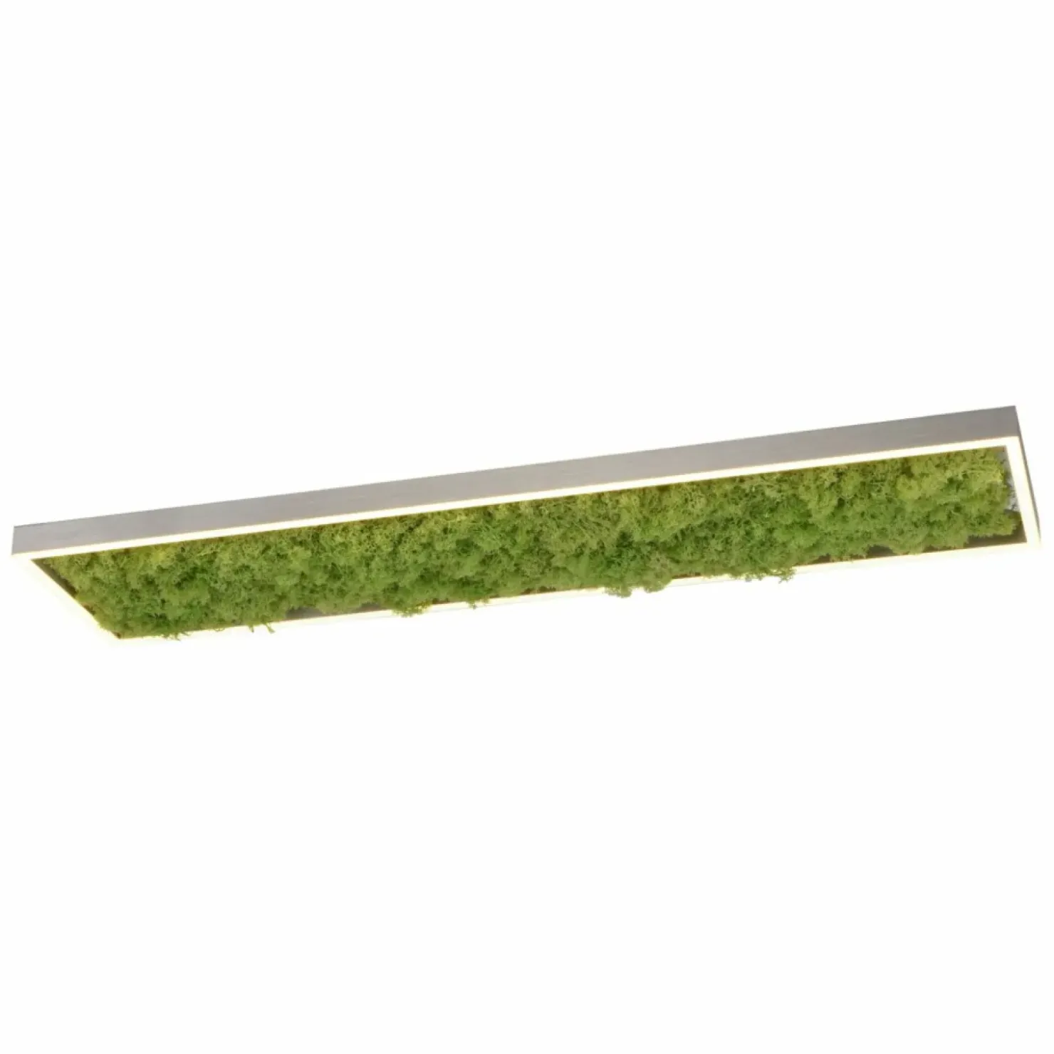 Prostokątny plafon LED z naturalnym mchem 15623-66 GREEN KNUT | Kaja*Sklep Kaja Cheap
