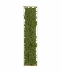 Prostokątny plafon LED z naturalnym mchem 15623-66 GREEN KNUT | Kaja*Sklep Kaja Cheap