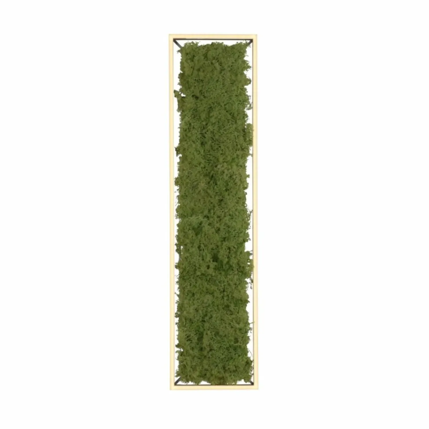 Prostokątny plafon LED z naturalnym mchem 15623-66 GREEN KNUT | Kaja*Sklep Kaja Cheap