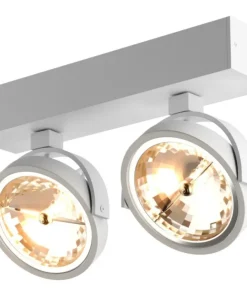 Spot z obrotowymi reflektorami 89964-G9 GO SL 2| Kaja Oświetlenie*Sklep Kaja Online